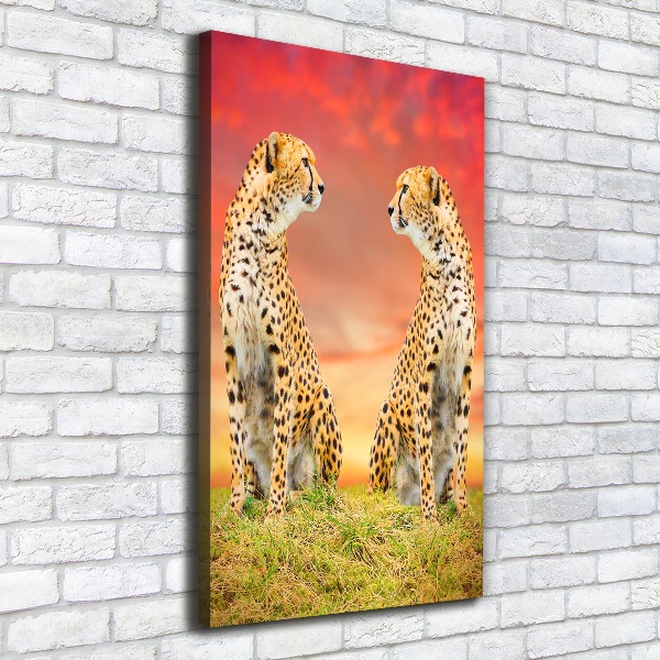 Canvas print Two cheetahs