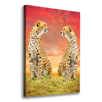 Canvas print Two cheetahs