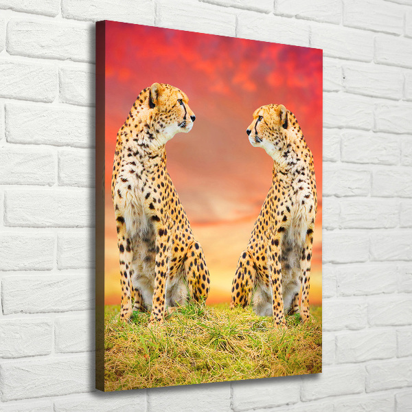 Canvas print Two cheetahs