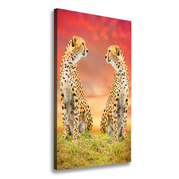 Canvas print Two cheetahs