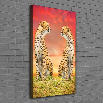 Canvas print Two cheetahs