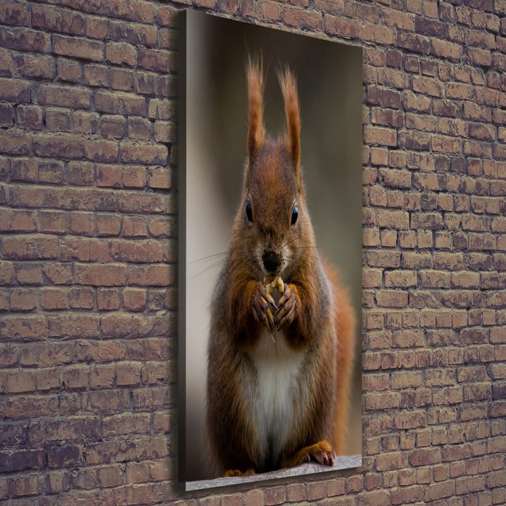 Canvas wall art Squirrel