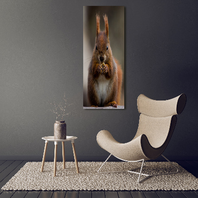 Canvas wall art Squirrel