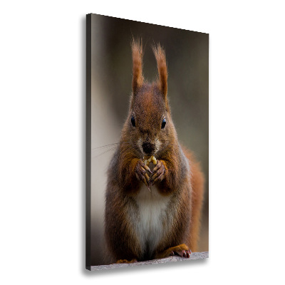 Canvas wall art Squirrel