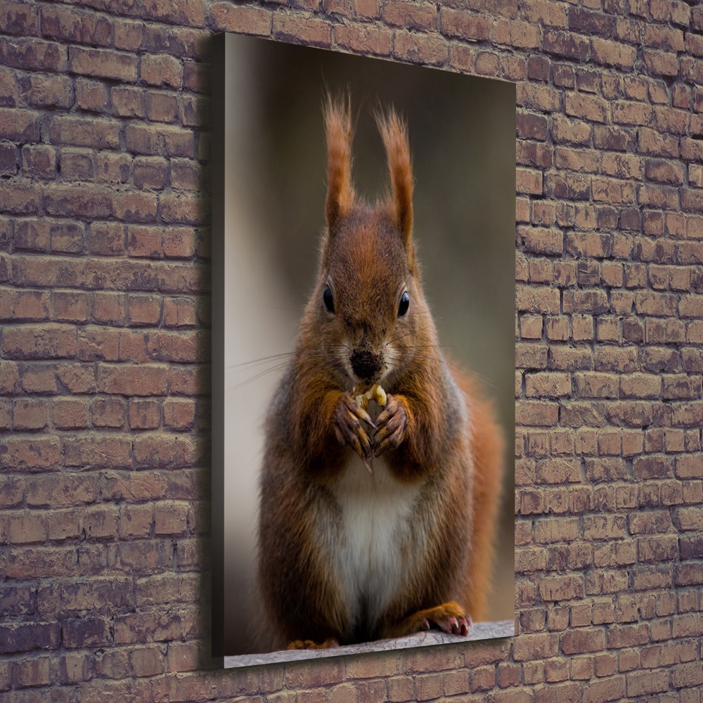 Canvas wall art Squirrel