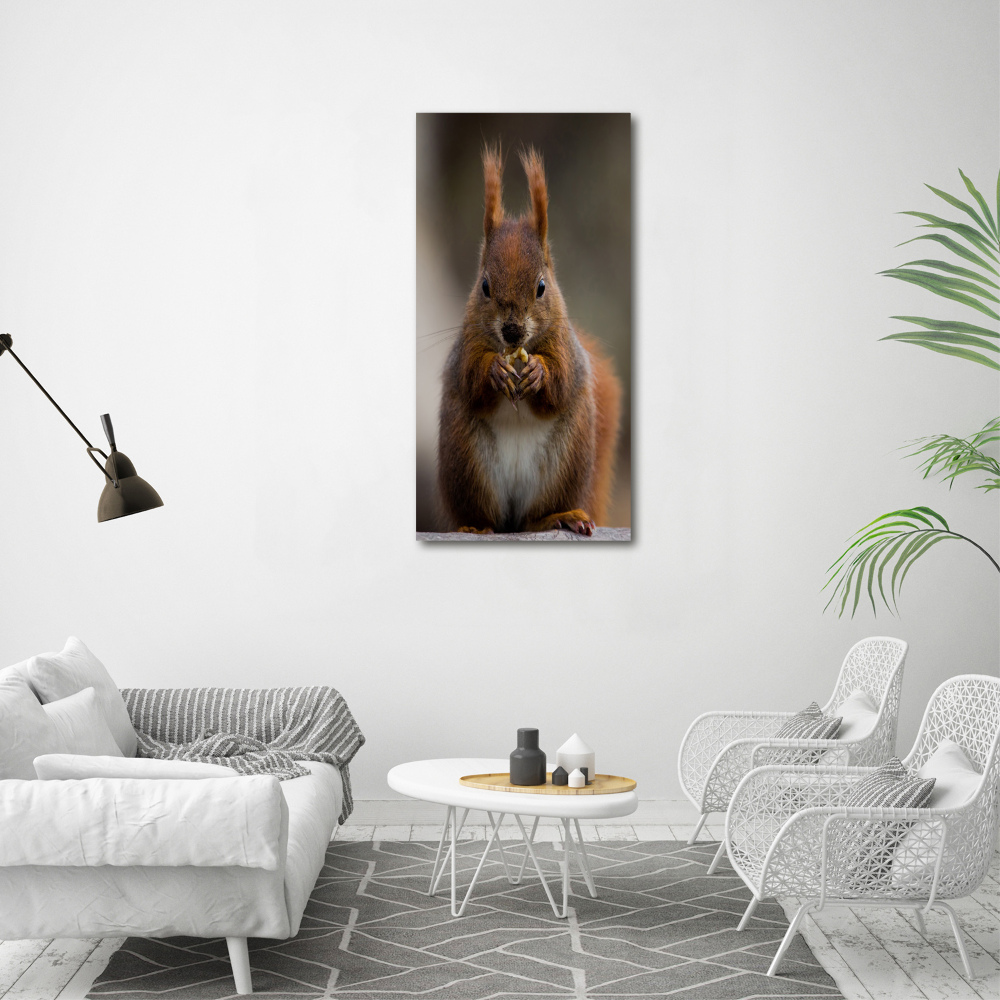 Canvas wall art Squirrel