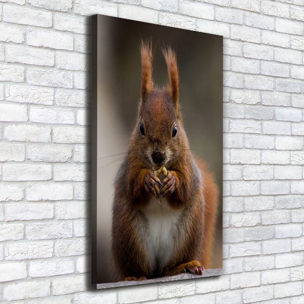 Canvas wall art Squirrel