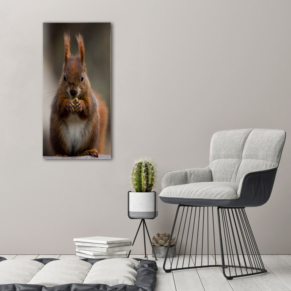 Canvas wall art Squirrel