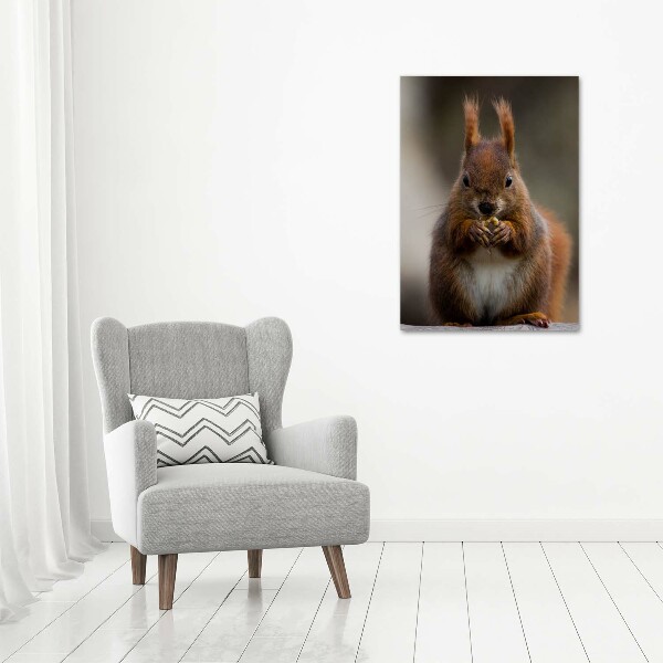 Canvas wall art Squirrel