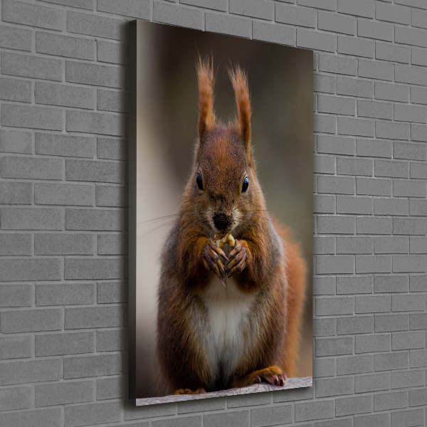 Canvas wall art Squirrel