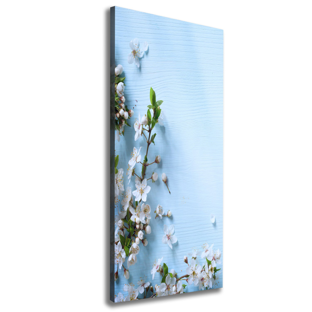 Canvas wall art Cherry blossoms