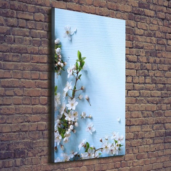 Canvas wall art Cherry blossoms