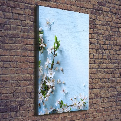 Canvas wall art Cherry blossoms