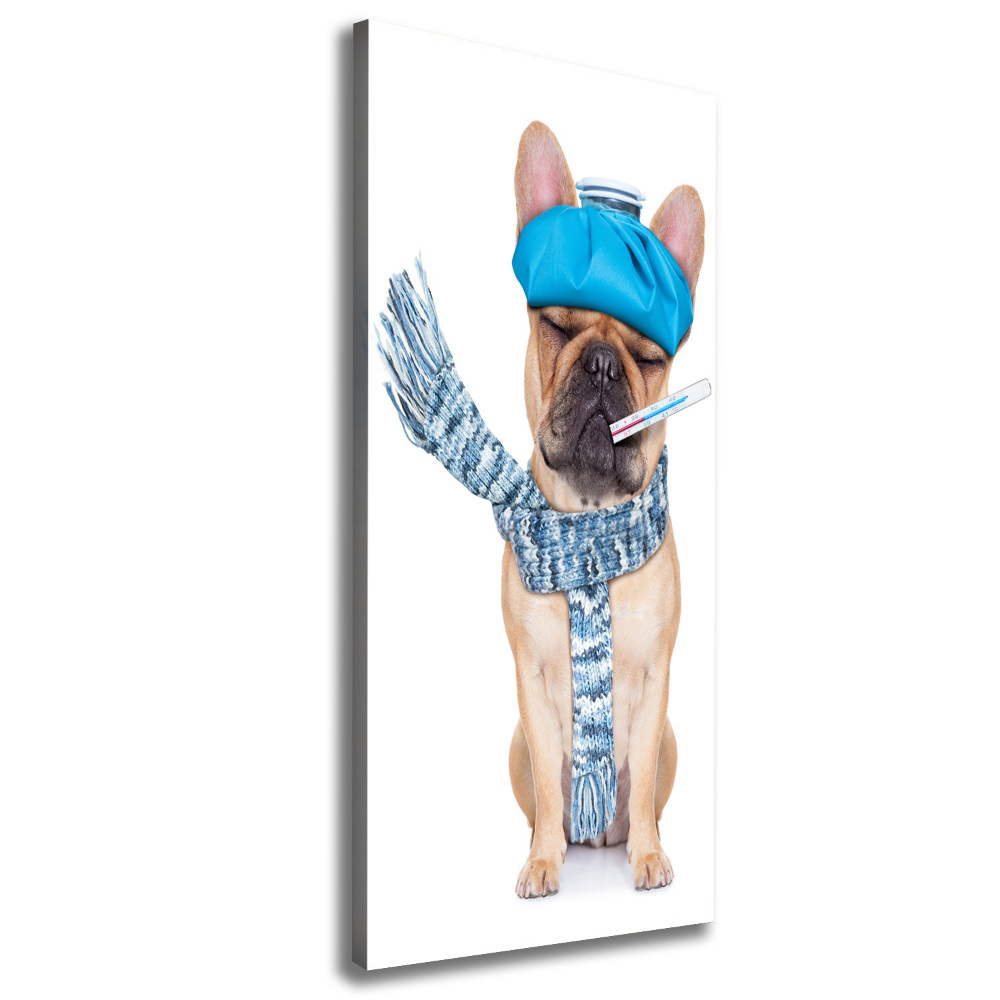 Wall art canvas large Sick dog