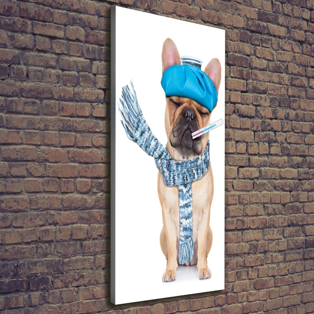 Wall art canvas large Sick dog