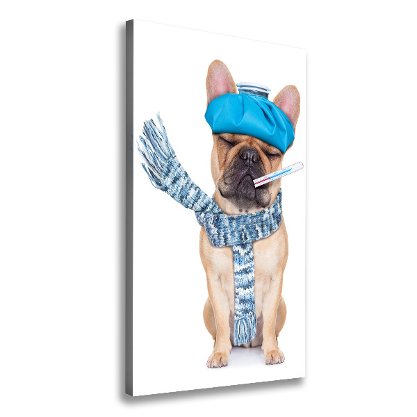 Wall art canvas large Sick dog