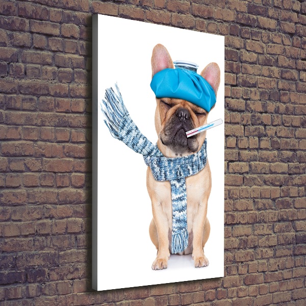 Wall art canvas large Sick dog