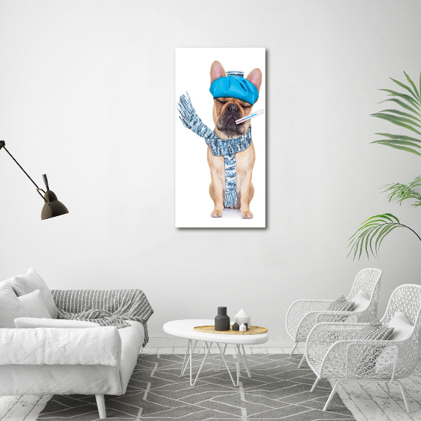 Wall art canvas large Sick dog