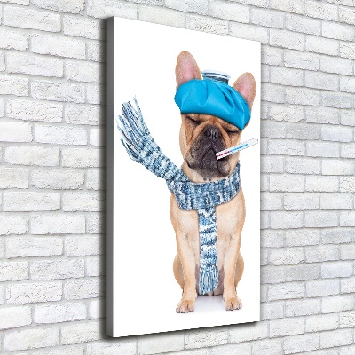 Wall art canvas large Sick dog