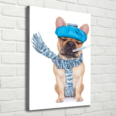 Wall art canvas large Sick dog