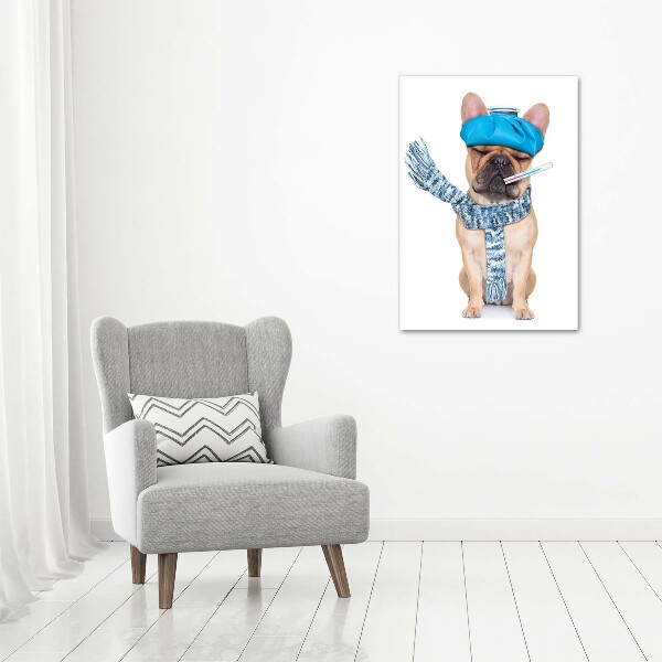 Wall art canvas large Sick dog