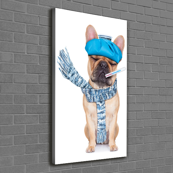 Wall art canvas large Sick dog