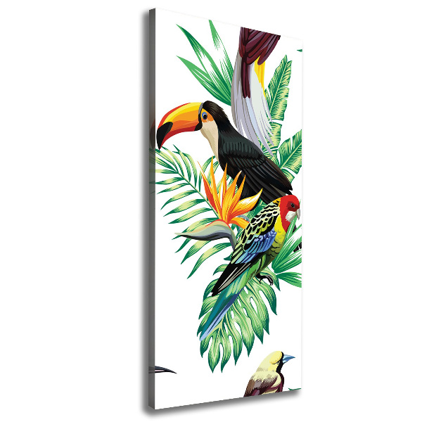 Canvas print Tropical birds