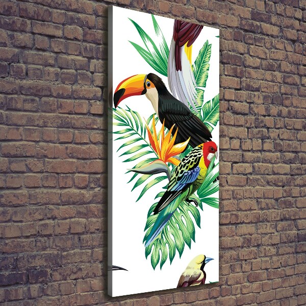 Canvas print Tropical birds