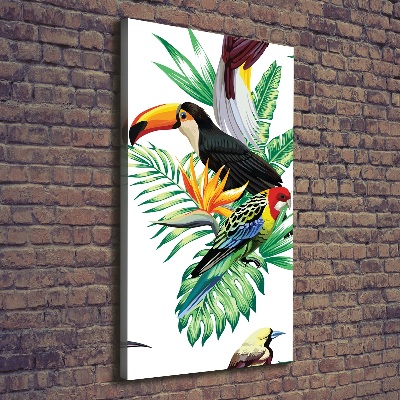 Canvas print Tropical birds