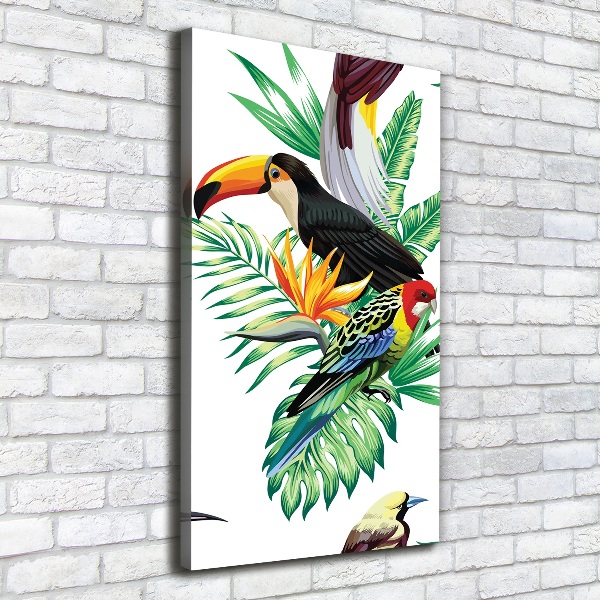 Canvas print Tropical birds