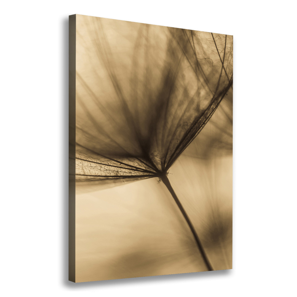 Canvas wall art Dandelion seed