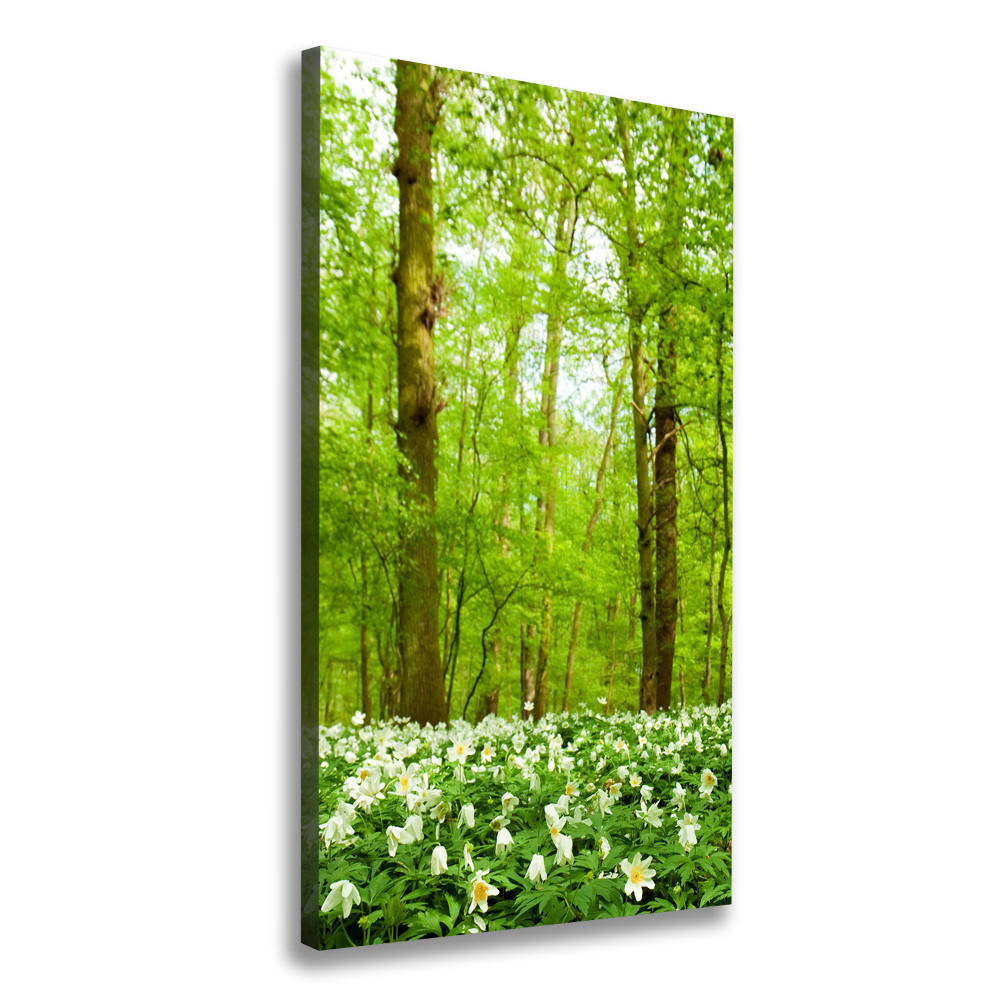 Large canvas wall art Flowers in the forest