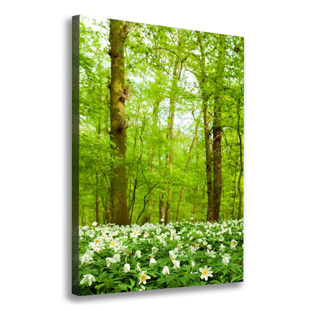 Large canvas wall art Flowers in the forest