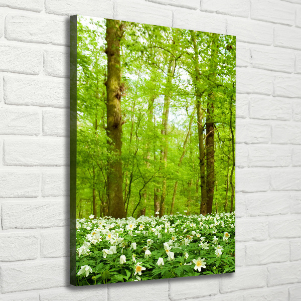 Large canvas wall art Flowers in the forest