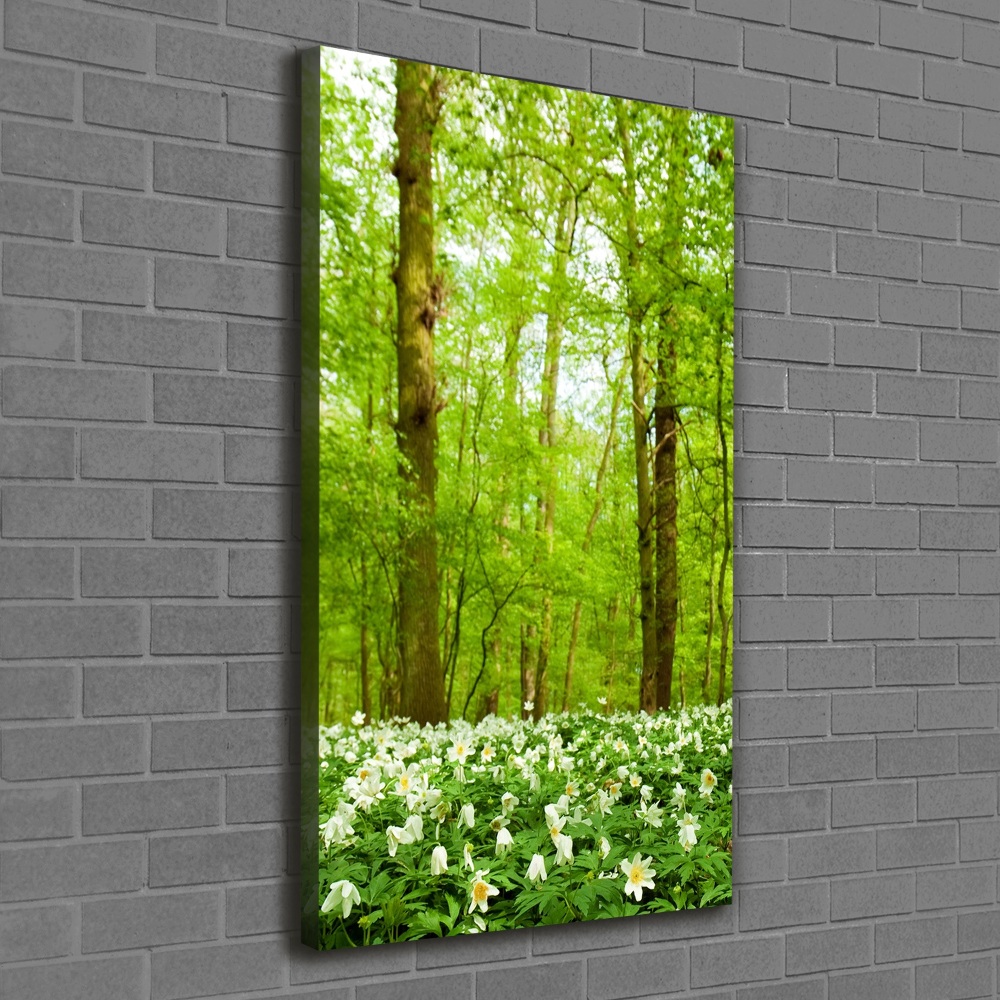 Large canvas wall art Flowers in the forest