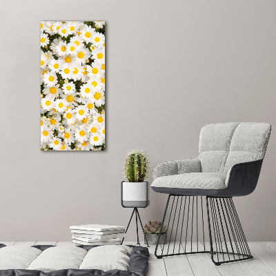 Canvas wall art Stokrotka flowers