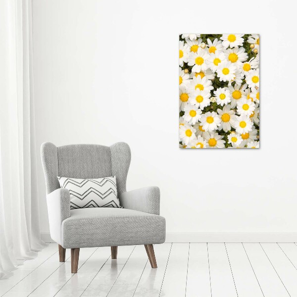 Canvas wall art Stokrotka flowers