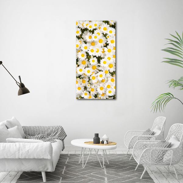 Canvas wall art Stokrotka flowers