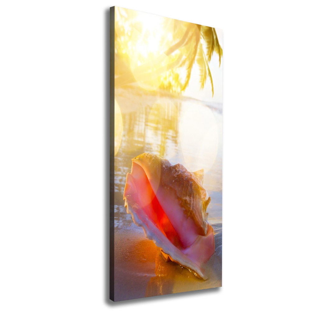 Canvas print Beach shell