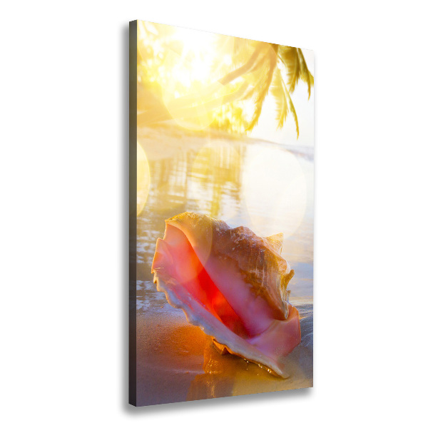 Canvas print Beach shell