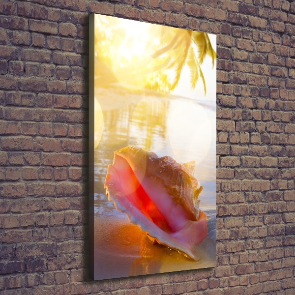 Canvas print Beach shell