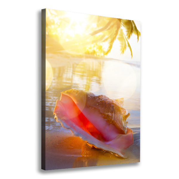 Canvas print Beach shell