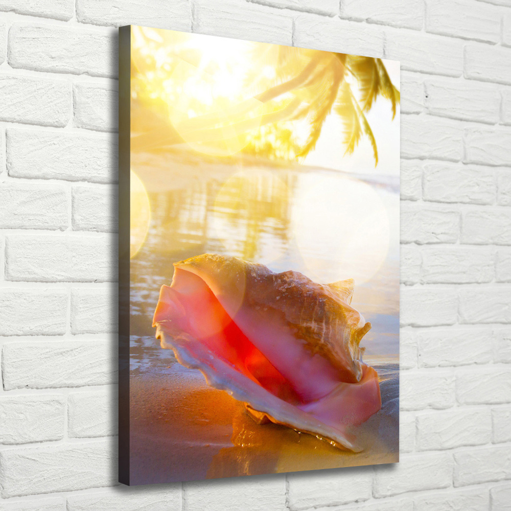 Canvas print Beach shell