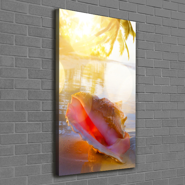 Canvas print Beach shell