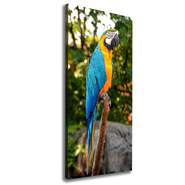 Canvas wall art Ara parrot