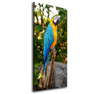 Canvas wall art Ara parrot