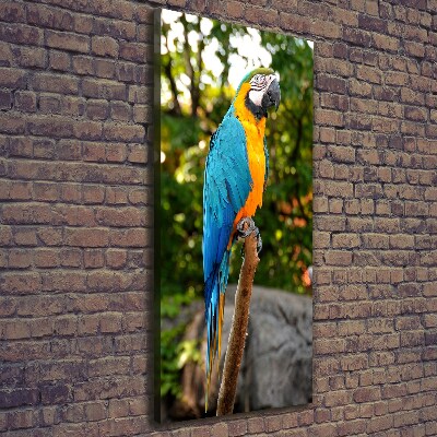 Canvas wall art Ara parrot