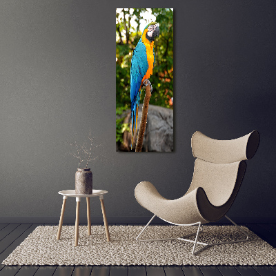 Canvas wall art Ara parrot