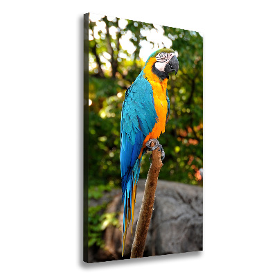 Canvas wall art Ara parrot