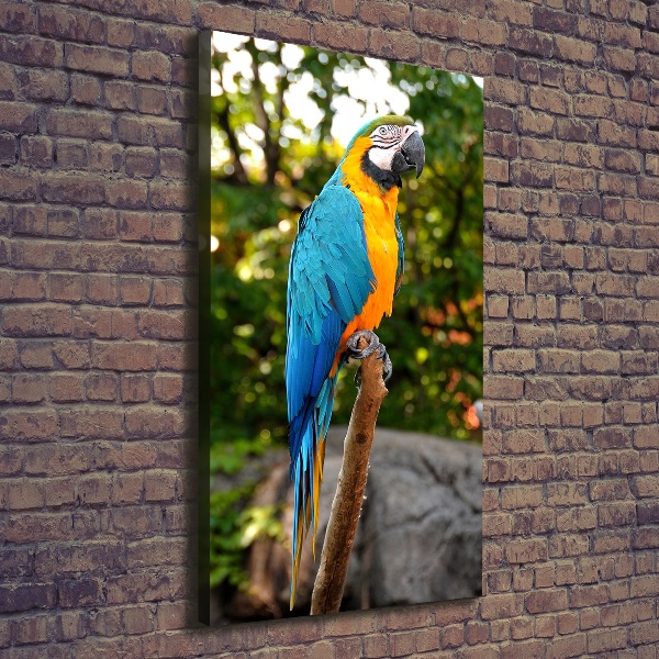 Canvas wall art Ara parrot